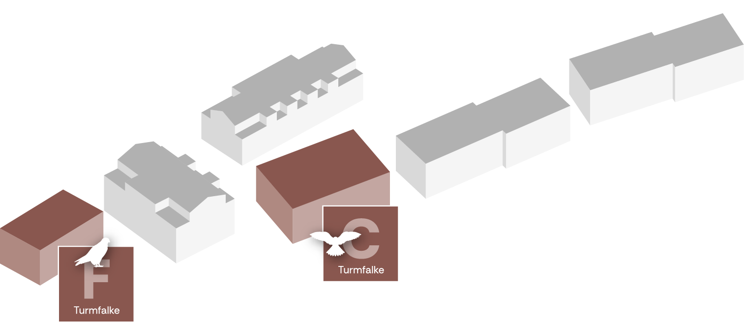 grundgrafik_haus_cf.png grundgrafik_haus_cf.png