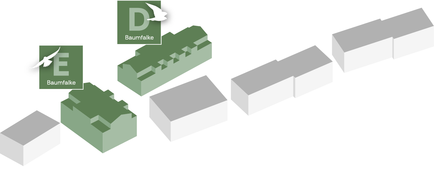 grundgrafik_haus_de.png grundgrafik_haus_de.png